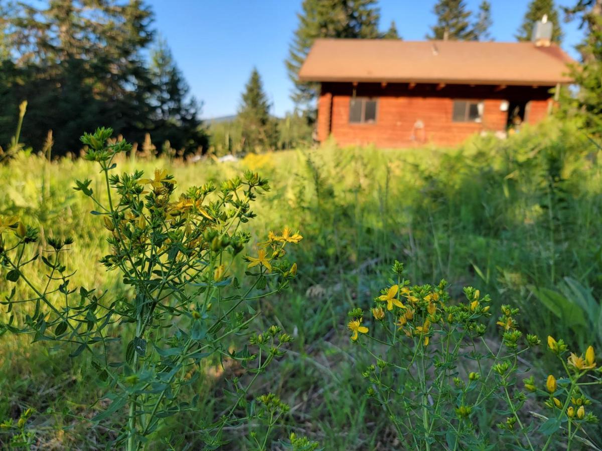 Cooper Spur Mountain Resort Mount Hood Ngoại thất bức ảnh