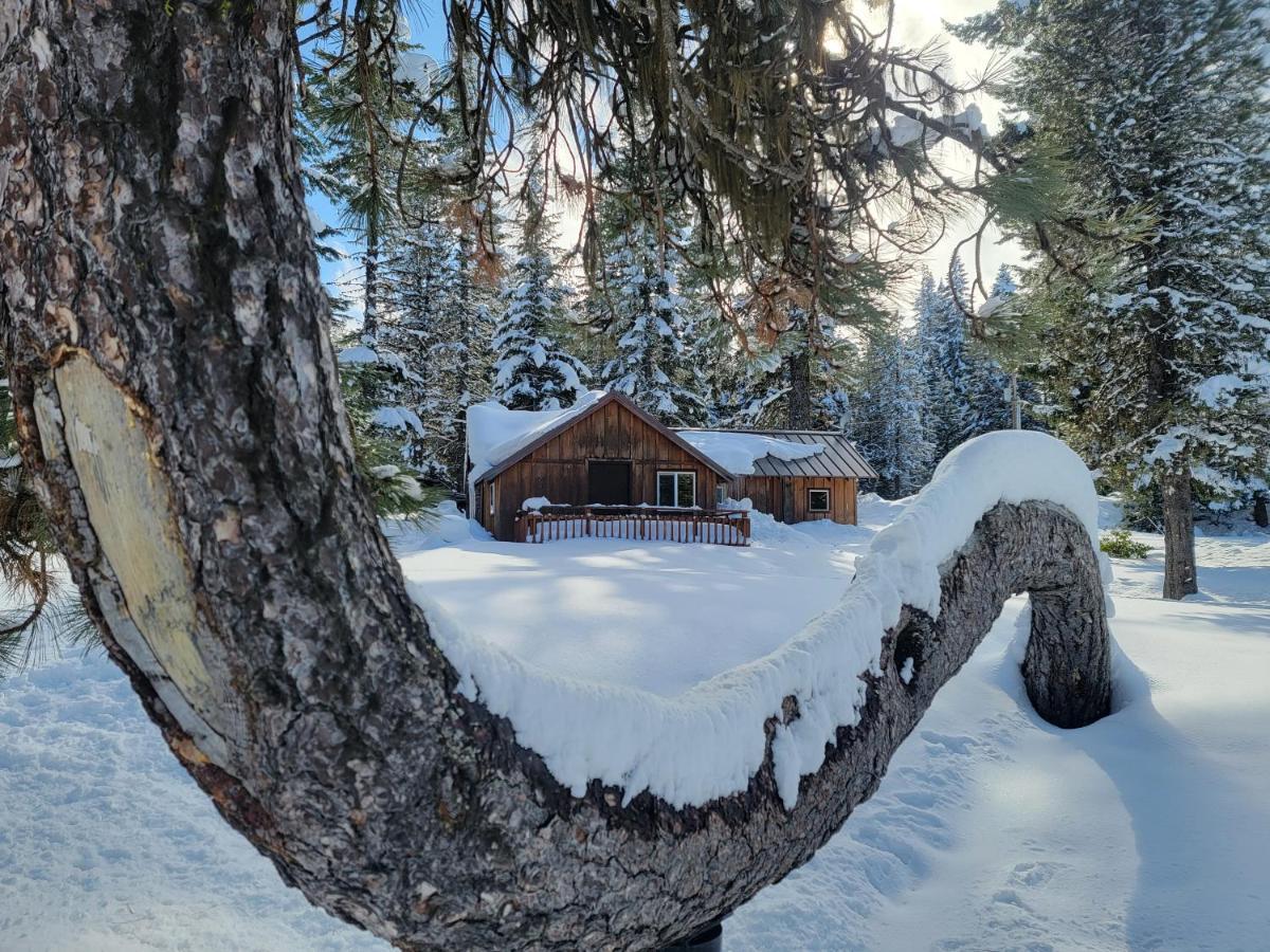 Cooper Spur Mountain Resort Mount Hood Ngoại thất bức ảnh